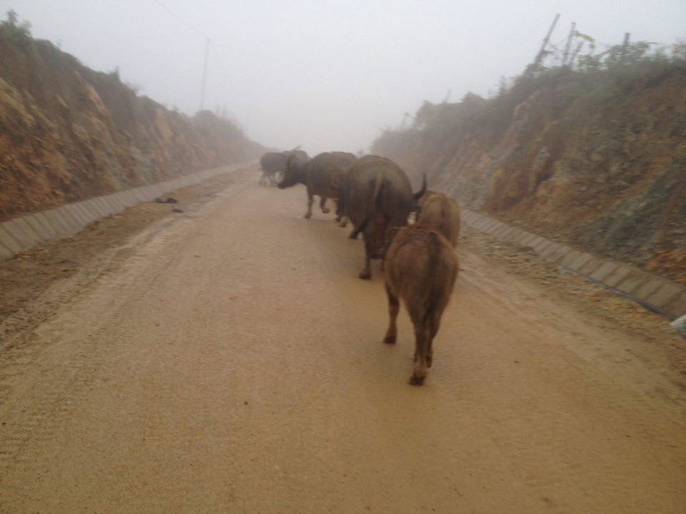 Rét đậm ở miền Bắc: Trẻ em vùng cao chân trần co ro trong giá buốt